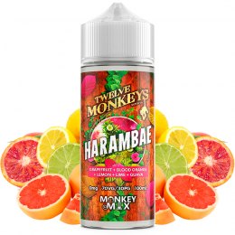 twelve monkeys harambae