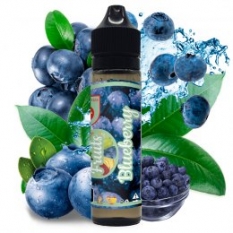 Blueberry 50ml - Fruits
