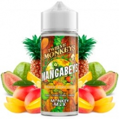 Mangabeys 100ml - Twelve Monkeys