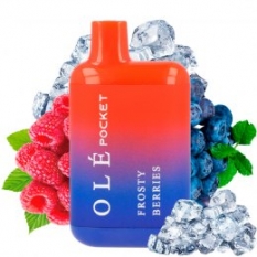 Pod desechable Frosty Berries 800puffs - Bud Vape Olé Pocket