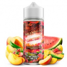 Sanctuary 100ml - Twelve Monkeys
