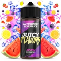 Waterberry Lemon Ice 100ml - Juicy Juice